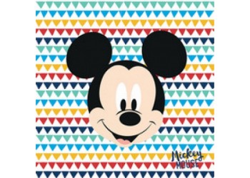 20 TOVAGLIOLI 33X33 TOPOLINO