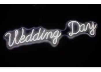 STRIP LED WEDDING DAY LUCE FREDDA